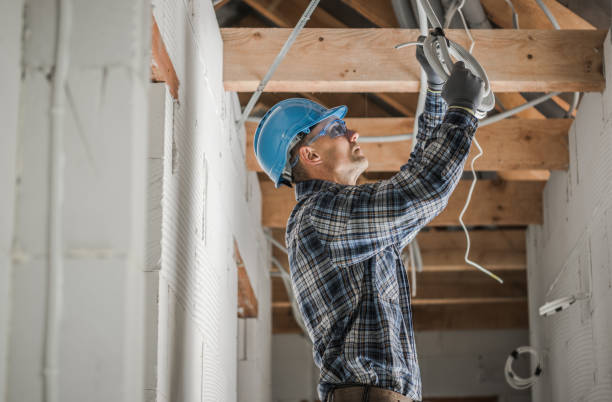 Best Electrical Rewiring Services  in Roselle, IL