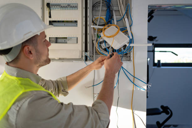 Best Electrical Repair Services  in Roselle, IL